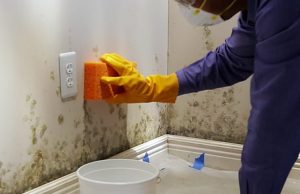 Get Rid of Bathroom Molds with These Best Tips