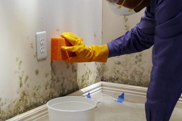 Get Rid of Bathroom Molds with These Best Tips