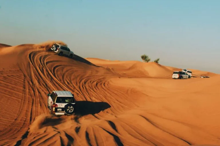 Abu Dhabi Desert Safari with Adventure & Belly Dance