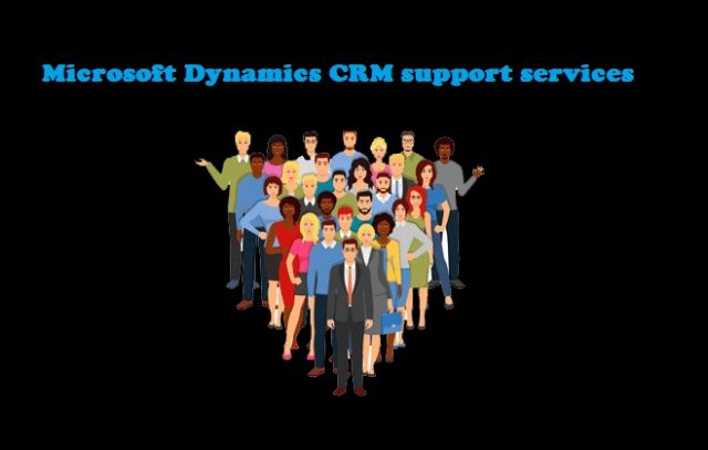 dynamics crm support services