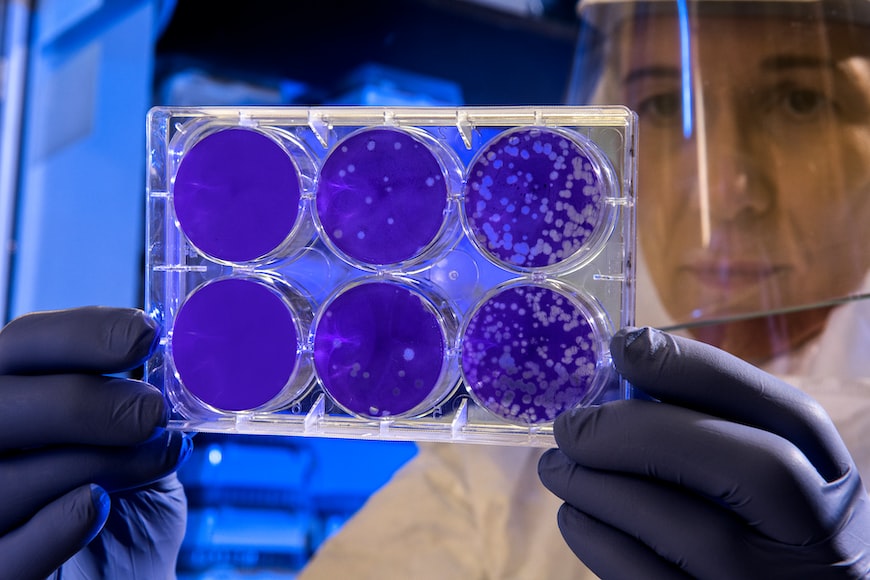 Monoclonal Antibodies