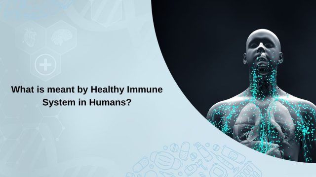 What is Meant By Healthy Immune System in Humans?
