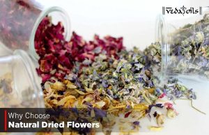 Natural Dried Flowers